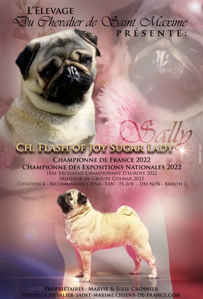 CH. flash of joy Sugar lady « sally »