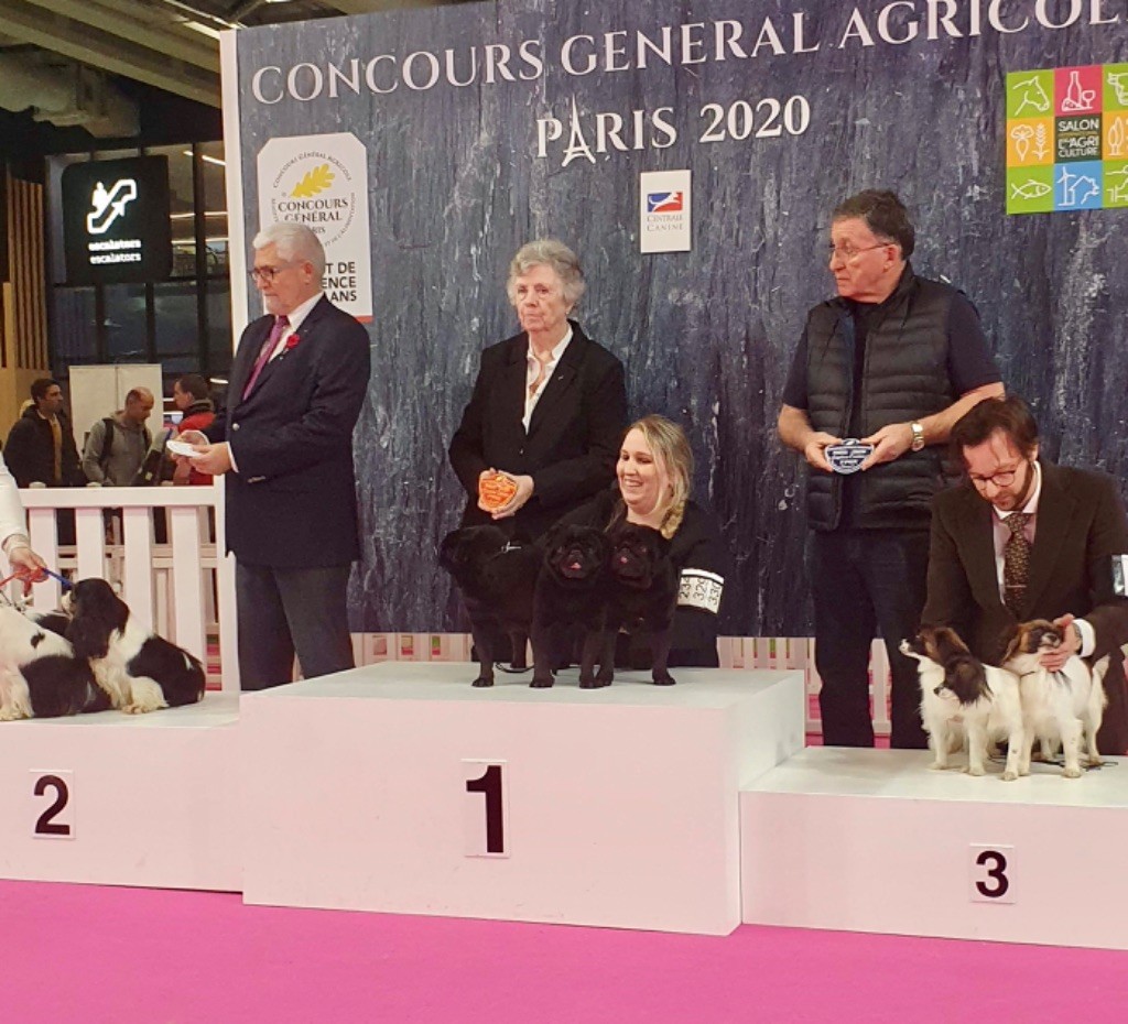 Du chevalier de saint maxime - Salon de l agriculture 2020