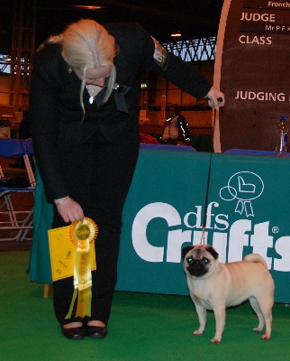 Du chevalier de saint maxime - CRUFTS 