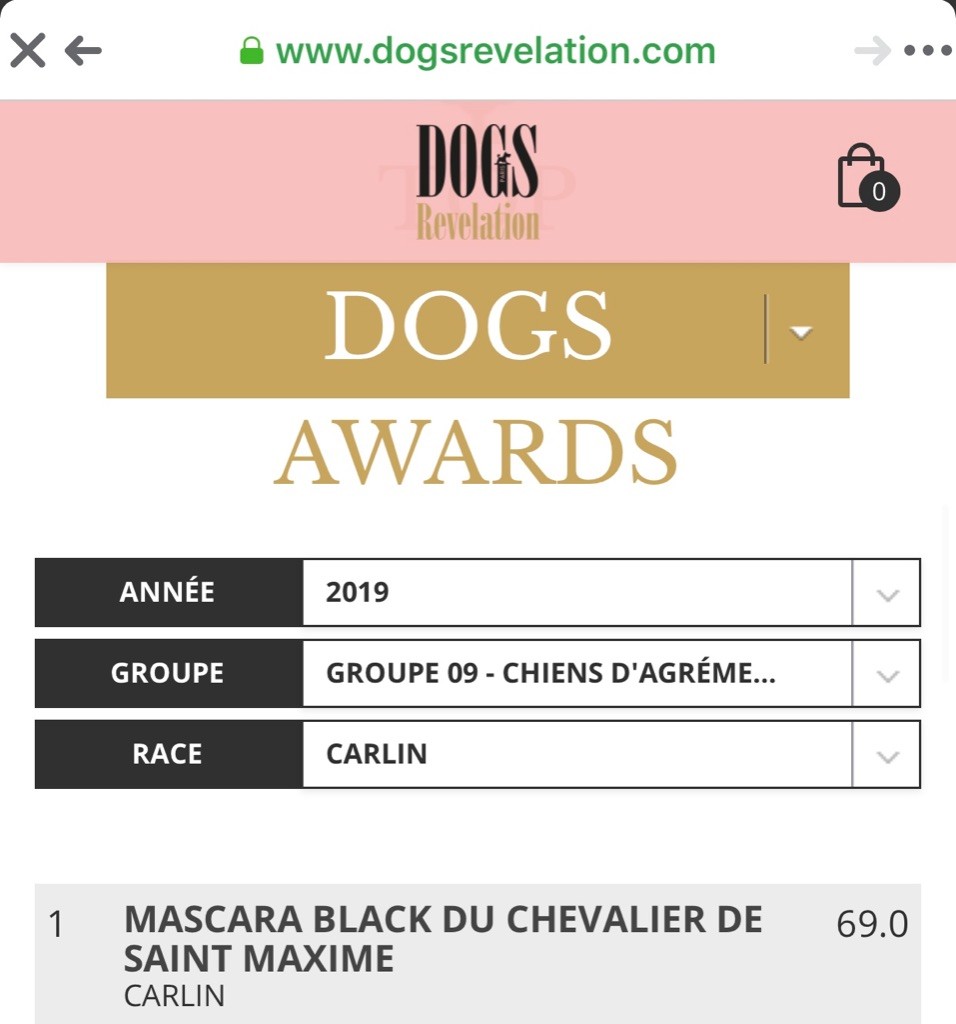 Du chevalier de saint maxime - Mascara TOP DOG 2019 Dogs Révélation 