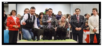 Du chevalier de saint maxime - CONCOURS GENERAL AGRICOLE 