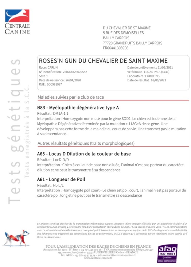 CH. Roses & gun Du chevalier de saint maxime