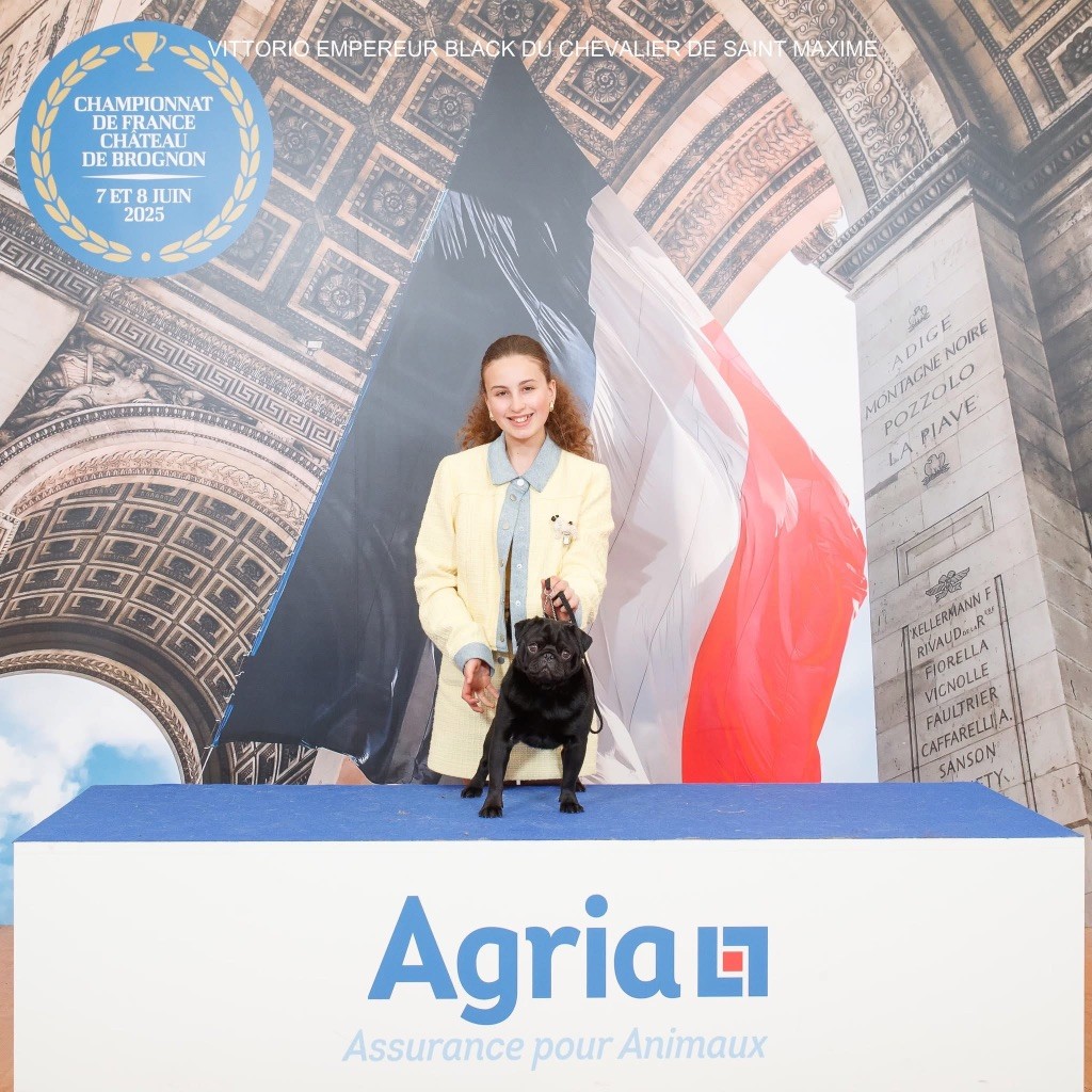 CH. Vittorio empereur black Du chevalier de saint maxime